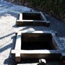 정당새미 이미지