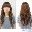 신데렐라붙임머리