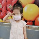 농바우마트 이미지