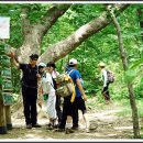 피제 - 상주시 상산로 304 | 피제