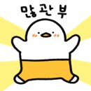 아리아리정선시네마 이미지