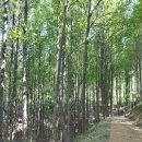 산림축산