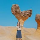 예스환경 | 대만 타이베이 예스지 예스폭지 예스진지 버스투어 내돈내산 후기