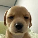 근머 나 아직도 구슬이 서말이어도 어쩌고 그 속담에 서말이 먼뜻인지 모름 이미지