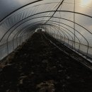 월면농장 이미지