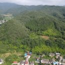 당산나무민박 이미지