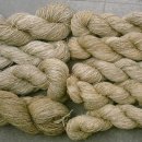 솔빛펜션 이미지