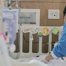 도토리하우스 이미지