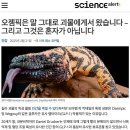 제일가축병원 | 위고비, 마운자로의 공공연한 비밀