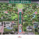 10월 3일(수) 국경일날 거울이와 한밭수목원 나들이 가요 ㅎ ^^ 이미지