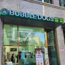 버블독스 부산대점 이미지