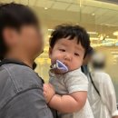 185 | 8개월 아기랑 대만여행 대한항공 KE185 베시넷 예약 이용후기