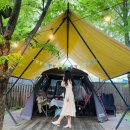 설맥 - 서대문구 신촌로 63 | 설맥