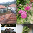 아라뜰펜션 이미지