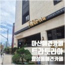 마산애견 | 마산애견카페 트라토리아 노견들과 다녀온 후기