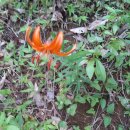 태백동 스포츠파크 이미지