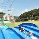 파인리조트 이미지