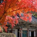 계룡종합카 이미지