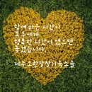 자올 하우스 이미지