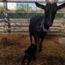 천관농장 이미지