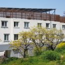 쉐이리코타키나 이미지