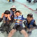 용인대호수태권도장