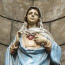 성모기획 이미지