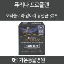 플로플랜 네이버블로그