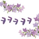 영택이네횟집