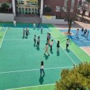 내성초등학교 이미지