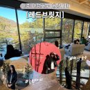 브릿지 | 파주 마장호수 대형카페 레드브릿지 내돈내산 후기, 출렁다리 베이커리 카페 추천