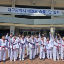 백산 태권도 이미지