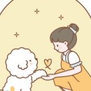 토토펫살롱 이미지