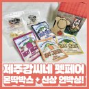 강씨네 | 제주강씨네 온라인 펫페어 내돈내산 후기 | 몬딱박스 신상 샘플까지!