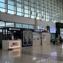 장가계 여행 청주국제공항 와이파이 도시락 대여, 반납, 사용 후기
