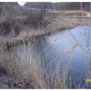 장천소한마리 이미지