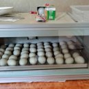 동녁골 농장 이미지