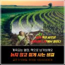 늙지 않고 사는 비결/내가 뿌린 씨는 다른 사람 나무에서 열린다