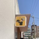 꿈나무수정 | 20240406 뮤지컬 <드라큘라> 부산 지방공연 후기! 김준수, 정선아, 아이비, 박은석, 손준호, 진태화...