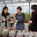 이성기농장 이미지