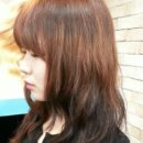 박은희미용실