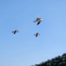 매바위로 이미지