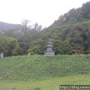 양양 진전사지 삼층석탑 | 양양 진전사(2)-진전사지 삼층석탑