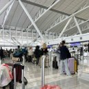 공항길 | [일본] 후쿠오카 국제 공항 비즈니스 라운지 후기 | 셔틀, 가는 길, 음식, 아시아나 비즈니스