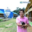 법인석곡