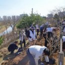 (주)카카오 이미지