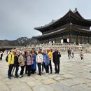 Mar 26 group tour for 13 guests 이미지