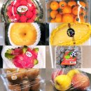 달콤;푸릇 | 대구 신상 칠곡 과일 맛집 달콤푸릇 칠곡점