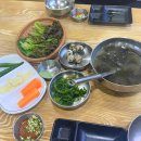 광명수산🐟 | 성신여대역 횟집 제철 대하구이와 전어회