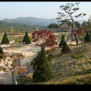 야생화농원